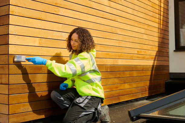 Best Fascia and Soffit Installation  in Hampton, TN