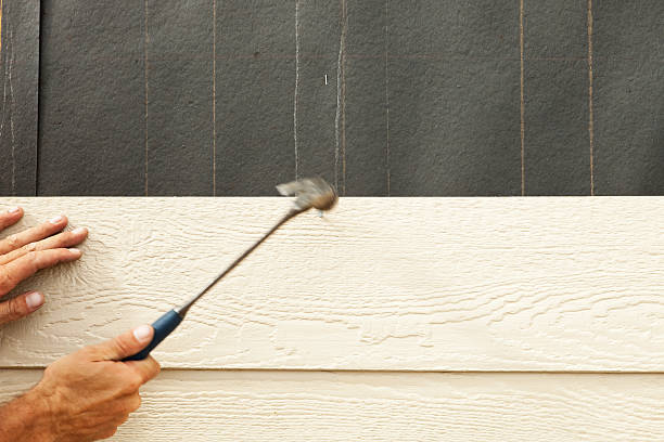 Best Siding for New Construction  in Hampton, TN